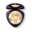 Poudre Compacte Correctrice - 00 Transparente - Dr. Hauschka