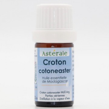 Huile Essentielle de Croton Cotoneaster - Astérale