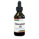 Chlorophylle 20X - SOLARAY