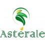 Astérale